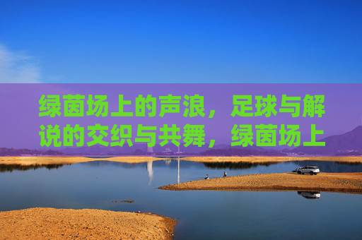 绿茵场上的声浪,足球与解说的交织与共舞,绿茵场上的声浪,足球与解说的交织与共舞