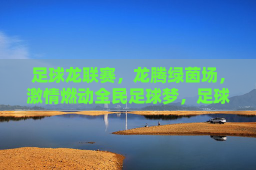 足球龙联赛，龙腾绿茵场，激情燃动全民足球梦，足球龙联赛，龙腾绿茵场，激情燃动全民足球梦