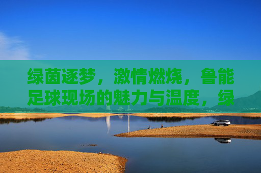 绿茵逐梦,激情燃烧,鲁能足球现场的魅力与温度,绿茵逐梦,激情燃烧,鲁能足球现场的魅力与温度