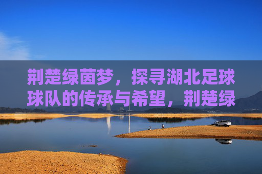 荆楚绿茵梦，探寻湖北足球球队的传承与希望，荆楚绿茵梦，探寻湖北足球球队的传承与希望
