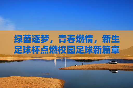 绿茵逐梦，青春燃情，新生足球杯点燃校园足球新篇章，绿茵逐梦，青春燃情，新生足球杯点燃校园足球新篇章