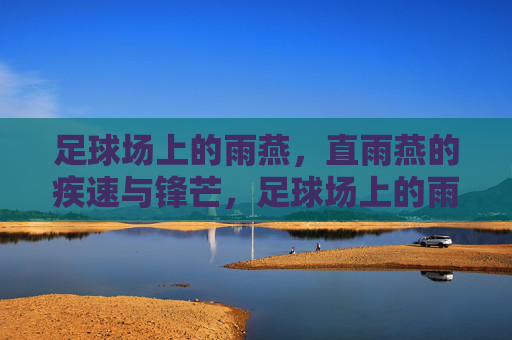 足球场上的雨燕,直雨燕的疾速与锋芒,足球场上的雨燕,直雨燕的疾速与锋芒