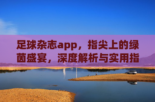 足球杂志app，指尖上的绿茵盛宴，深度解析与实用指南，足球杂志APP，指尖上的绿茵盛宴——深度解析与实用指南