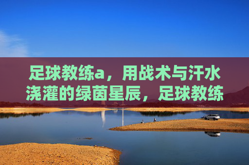 足球教练a，用战术与汗水浇灌的绿茵星辰，足球教练a，用战术与汗水浇灌的绿茵星辰