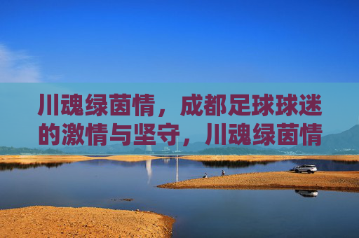 川魂绿茵情,成都足球球迷的激情与坚守,川魂绿茵情,成都足球球迷的激情与坚守
