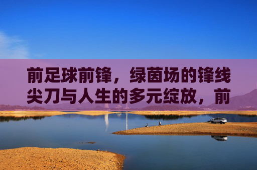 前足球前锋,绿茵场的锋线尖刀与人生的多元绽放,前足球前锋,绿茵尖刀与人生的多元绽放