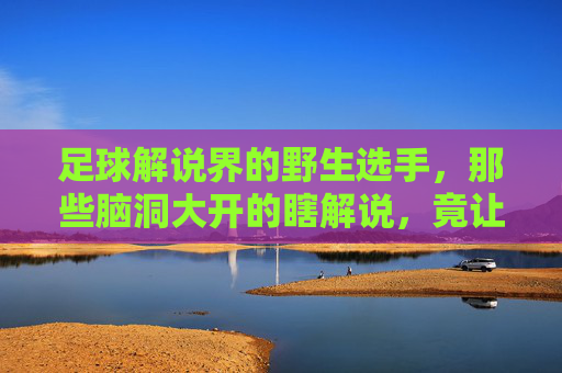 足球解说界的野生选手，那些脑洞大开的瞎解说，竟让看球变成最真实的狂欢，足球解说界的野生选手，那些脑洞大开的瞎解说，竟让看球变成最真实的狂欢