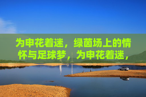 为申花着迷，绿茵场上的情怀与足球梦，为申花着迷，绿茵场上的情怀与足球梦