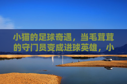 小猫的足球奇遇,当毛茸茸的守门员变成进球英雄,小猫的足球奇遇,毛茸茸守门员变身进球英雄