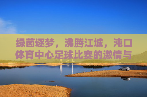 绿茵逐梦，沸腾江城，沌口体育中心足球比赛的激情与活力