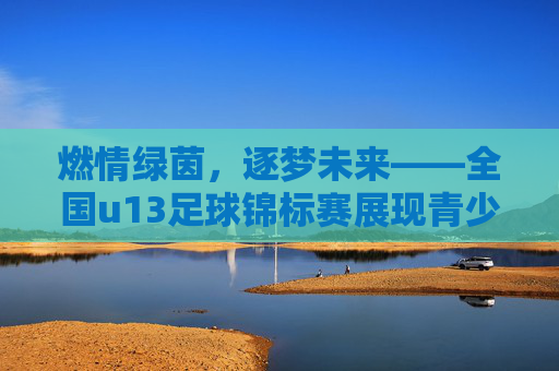 燃情绿茵，逐梦未来——全国u13足球锦标赛展现青少年足球的蓬勃生机，燃情绿茵，逐梦未来——全国u13足球锦标赛展现青少年足球的蓬勃生机