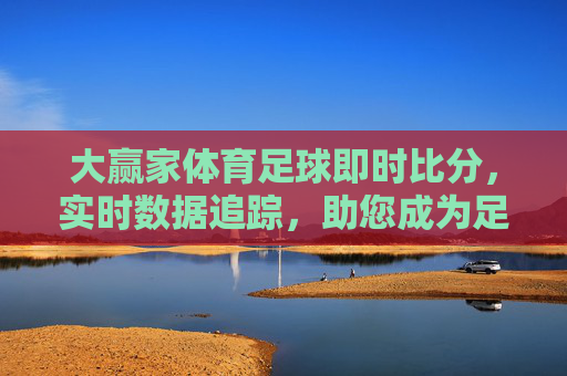 大赢家体育足球即时比分，实时数据追踪，助您成为足球赛事的大赢家