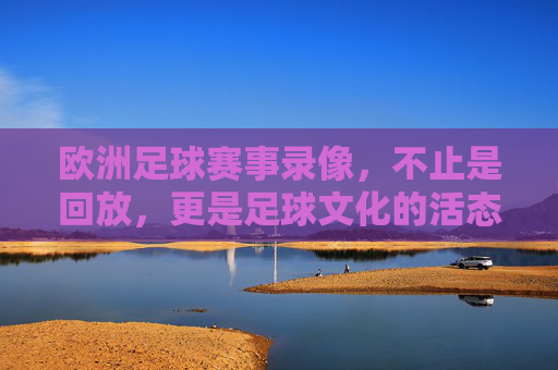 欧洲足球赛事录像,不止是回放,更是足球文化的活态传承与激情再现,欧洲足球赛事录像,足球文化的活态传承与激情再现