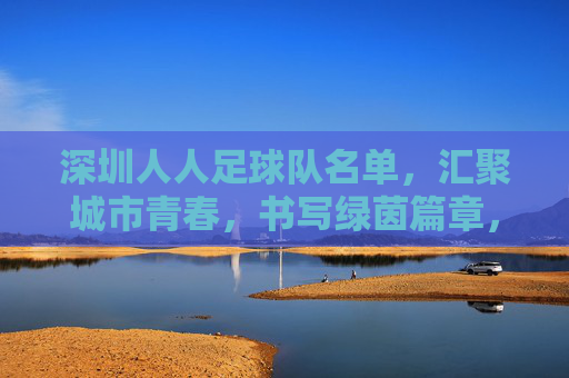 深圳人人足球队名单,汇聚城市青春,书写绿茵篇章,深圳人人足球队名单,汇聚城市青春,书写绿茵篇章