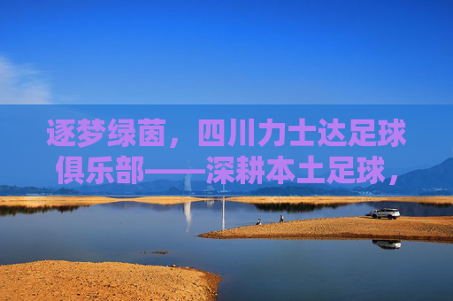 逐梦绿茵,四川力士达足球俱乐部——深耕本土足球,为青训注入新活力,逐梦绿茵,四川力士达足球俱乐部,深耕本土足球,为青训注入新活力