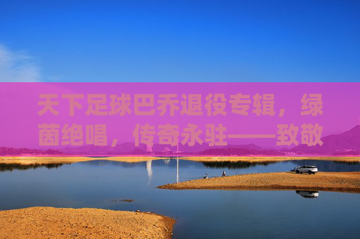 天下足球巴乔退役专辑，绿茵绝唱，传奇永驻——致敬足球史上最伟大的艺术家