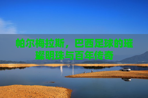 帕尔梅拉斯，巴西足球的璀璨明珠与百年传奇