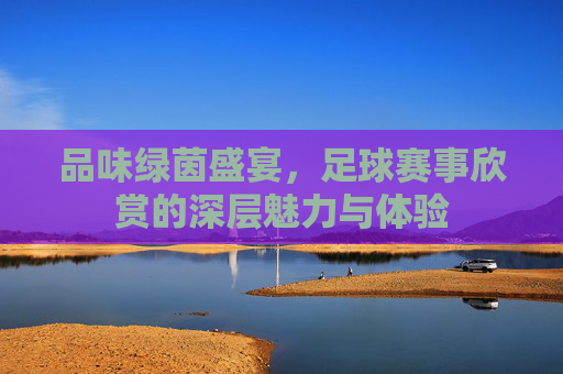 品味绿茵盛宴,足球赛事欣赏的深层魅力与体验