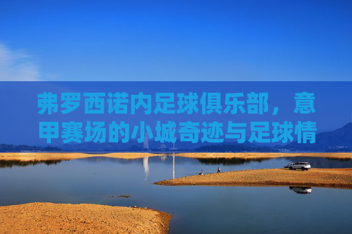 弗罗西诺内足球俱乐部，意甲赛场的小城奇迹与足球情怀，弗罗西诺内足球俱乐部，意甲赛场的小城奇迹与足球情怀