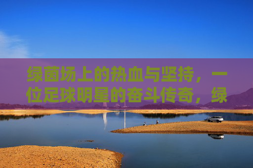 绿茵场上的热血与坚持，一位足球明星的奋斗传奇，绿茵场上的热血与坚持，一位足球明星的奋斗传奇