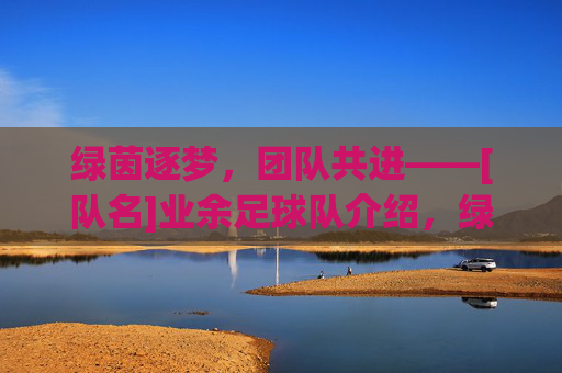 绿茵逐梦，团队共进——[队名]业余足球队介绍，绿茵逐梦，团队共进——[队名]业余足球队介绍