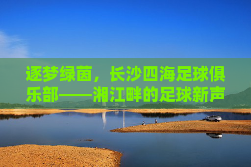 逐梦绿茵,长沙四海足球俱乐部——湘江畔的足球新声与希望之光,逐梦绿茵,长沙四海足球俱乐部——湘江畔的足球新声与希望之光