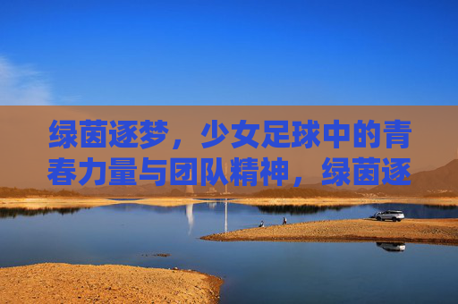 绿茵逐梦,少女足球中的青春力量与团队精神,绿茵逐梦,少女足球中的青春力量与团队精神