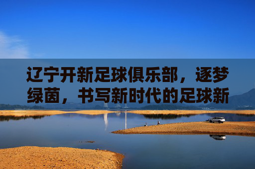 辽宁开新足球俱乐部，逐梦绿茵，书写新时代的足球新篇章
