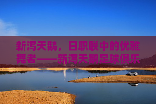 新泻天鹅,日职联中的优雅舞者——新泻天鹅足球俱乐部的历史、风格与精神传承