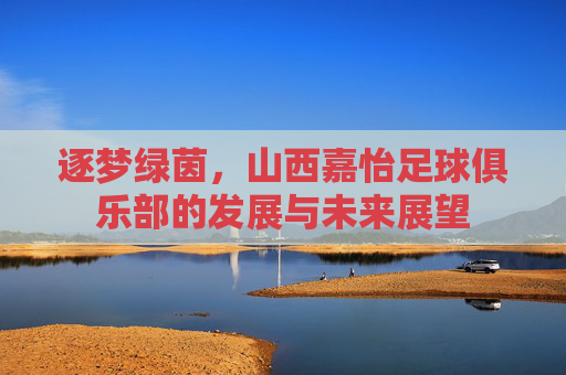 逐梦绿茵，山西嘉怡足球俱乐部的发展与未来展望