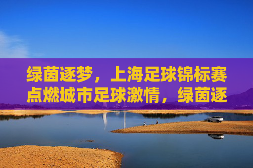 绿茵逐梦,上海足球锦标赛点燃城市足球激情,绿茵逐梦,上海足球锦标赛点燃城市足球激情