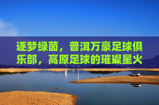 逐梦绿茵，普洱万豪足球俱乐部，高原足球的璀璨星火与未来展望，逐梦绿茵，普洱万豪足球俱乐部，高原足球的璀璨星火与未来展望