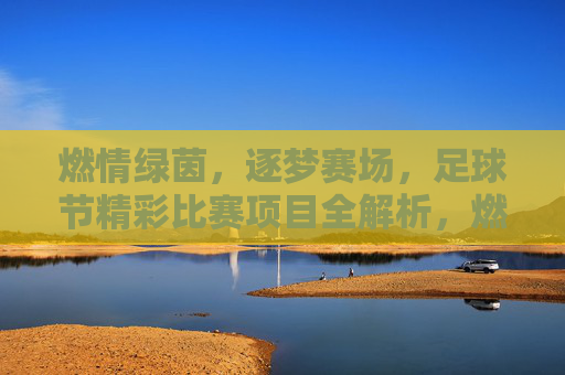 燃情绿茵，逐梦赛场，足球节精彩比赛项目全解析，燃情绿茵，逐梦赛场，足球节精彩比赛项目全解析