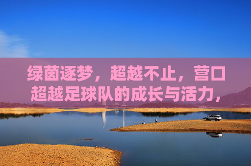 绿茵逐梦,超越不止,营口超越足球队的成长与活力,绿茵逐梦,超越不止,营口超越足球队的成长与活力