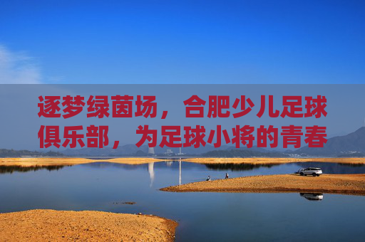 逐梦绿茵场,合肥少儿足球俱乐部,为足球小将的青春注入活力与希望