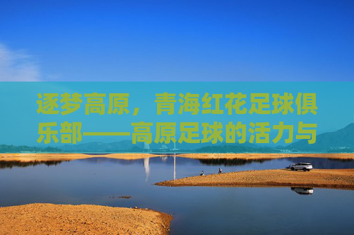 逐梦高原,青海红花足球俱乐部——高原足球的活力与希望,逐梦高原,青海红花足球俱乐部,高原足球的活力与希望