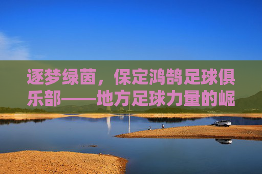 逐梦绿茵,保定鸿鹄足球俱乐部——地方足球力量的崛起与职业化征程,逐梦绿茵,保定鸿鹄足球俱乐部——地方足球力量的崛起与职业化征程
