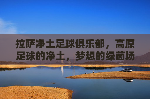 拉萨净土足球俱乐部，高原足球的净土，梦想的绿茵场，拉萨净土足球俱乐部，高原足球的净土，梦想的绿茵场
