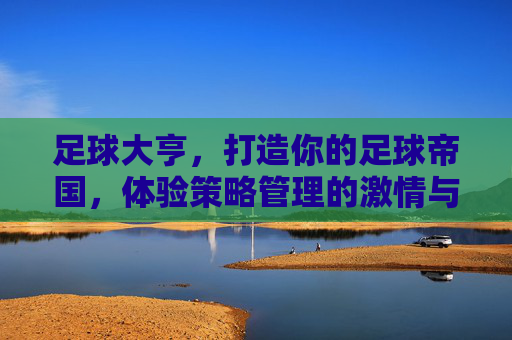 足球大亨，打造你的足球帝国，体验策略管理的激情与荣耀，足球大亨，打造足球帝国，体验策略管理的激情与荣耀