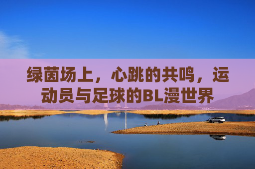 绿茵场上,心跳的共鸣,运动员与足球的BL漫世界