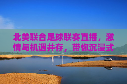 北美联合足球联赛直播，激情与机遇并存，带你沉浸式感受绿茵魅力
