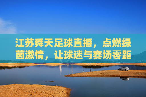 江苏舜天足球直播，点燃绿茵激情，让球迷与赛场零距离