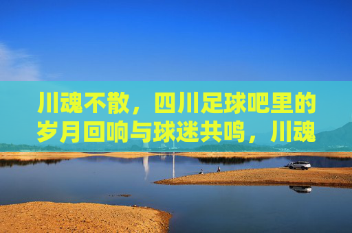 川魂不散，四川足球吧里的岁月回响与球迷共鸣，川魂不散，四川足球吧里的岁月回响与球迷共鸣