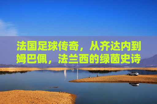 法国足球传奇,从齐达内到姆巴佩,法兰西的绿茵史诗