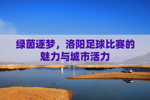 绿茵逐梦,洛阳足球比赛的魅力与城市活力