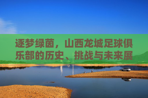 逐梦绿茵,山西龙城足球俱乐部的历史、挑战与未来展望