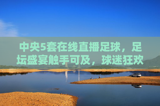 中央5套在线直播足球，足坛盛宴触手可及，球迷狂欢新体验，中央5在线直播足球，足坛盛宴触手可及，球迷狂欢新体验