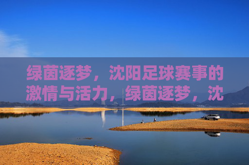 绿茵逐梦,沈阳足球赛事的激情与活力,绿茵逐梦,沈阳足球赛事的激情与活力