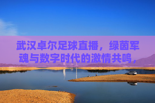 武汉卓尔足球直播，绿茵军魂与数字时代的激情共鸣，武汉卓尔足球直播，绿茵军魂与数字时代的激情共鸣