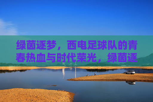绿茵逐梦,西电足球队的青春热血与时代荣光,绿茵逐梦,西电足球队的青春热血与时代荣光